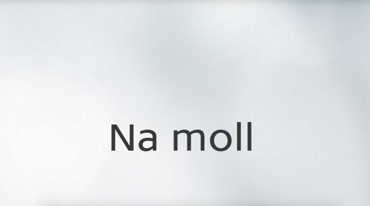 Na moll... / 17.01.2025, 01:35