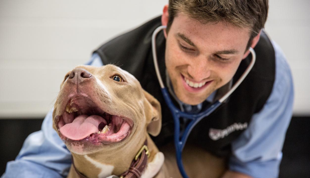 Život na Veterinární univerzitě