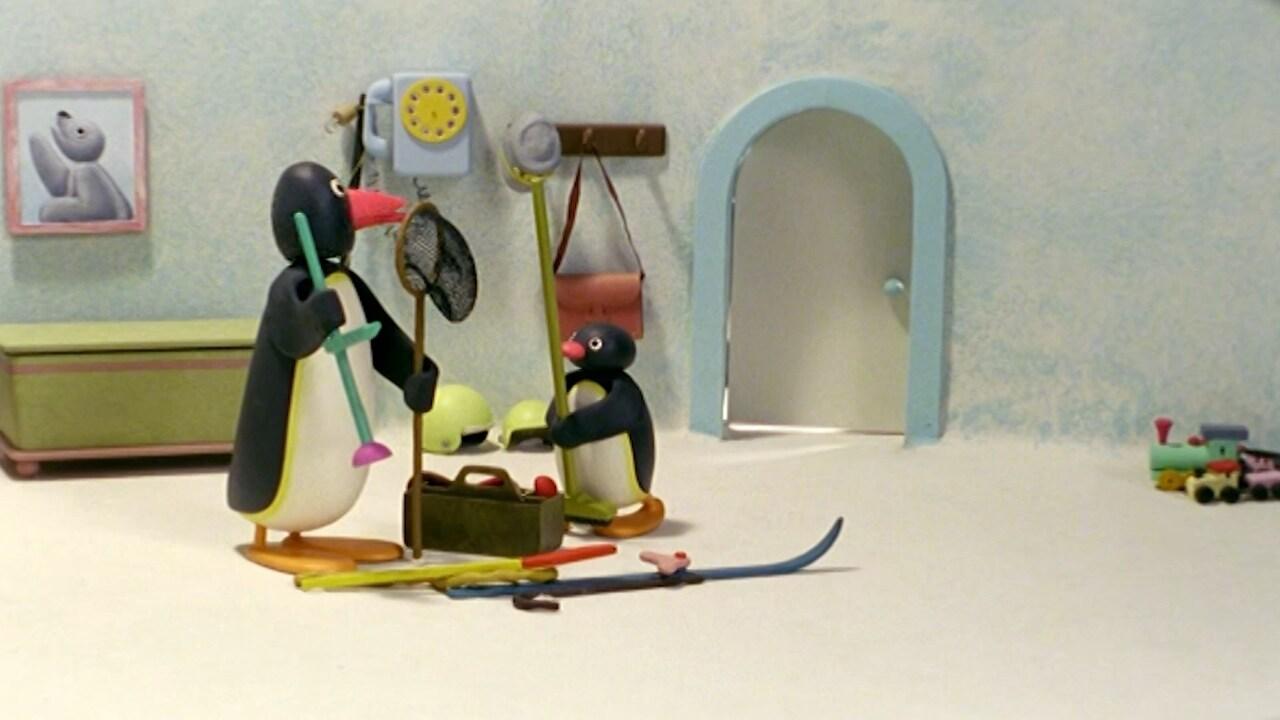 Pingu