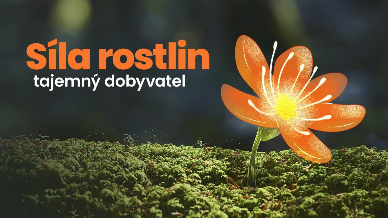 Síla rostlin - tajemný dobyvatel