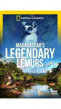 Madagascar's Legendary Lemurs