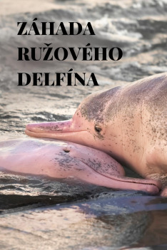 Záhada ružového delfína