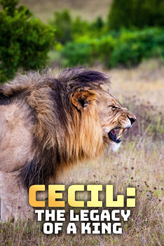 Cecil, lví král