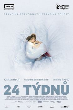 24 týdnů